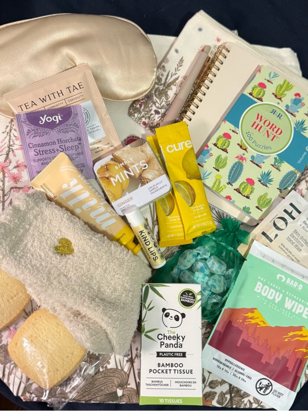 Deluxe Chemo overnight companion bag 10% to charity